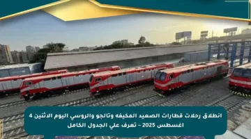 انطلاق رحلات قطارات الصعيد المكيفة وتالجو والروسي اليوم الإثنين 4 أغسطس 2025 – تعرف على الجدول الكامل